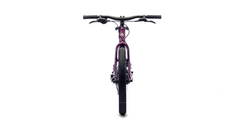Merida - Matts J.20+ 20 inch Wheel Kids Bike in Purple-1