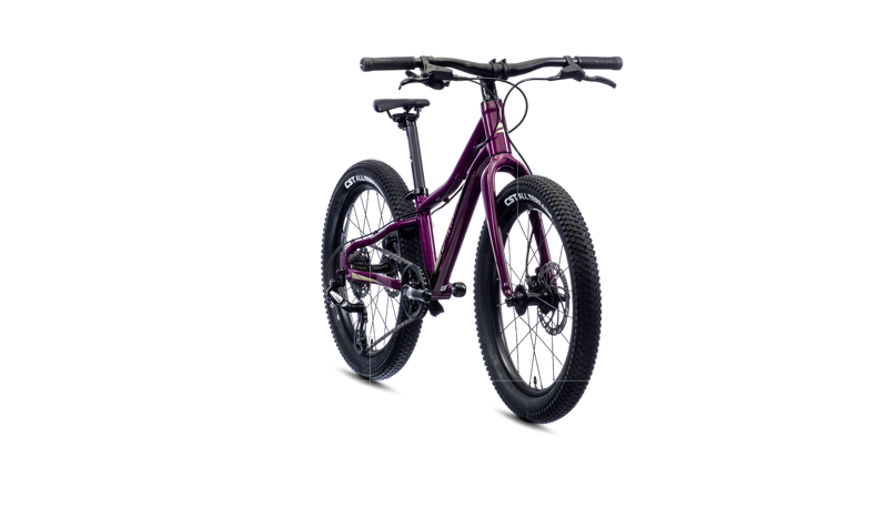 Merida - Matts J.20+ 20 inch Wheel Kids Bike in Purple-8