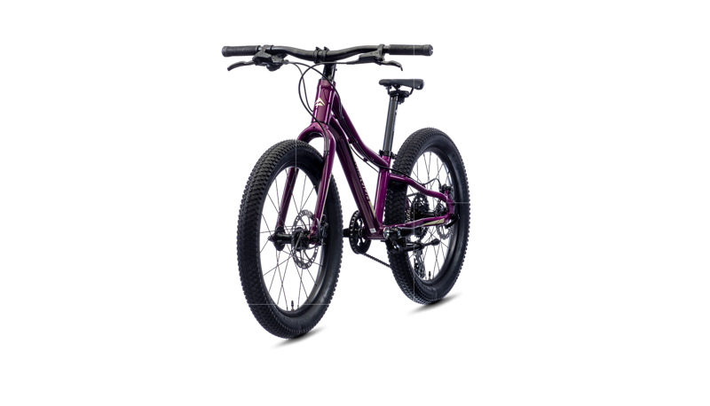 Merida - Matts J.20+ 20 inch Wheel Kids Bike in Purple-2