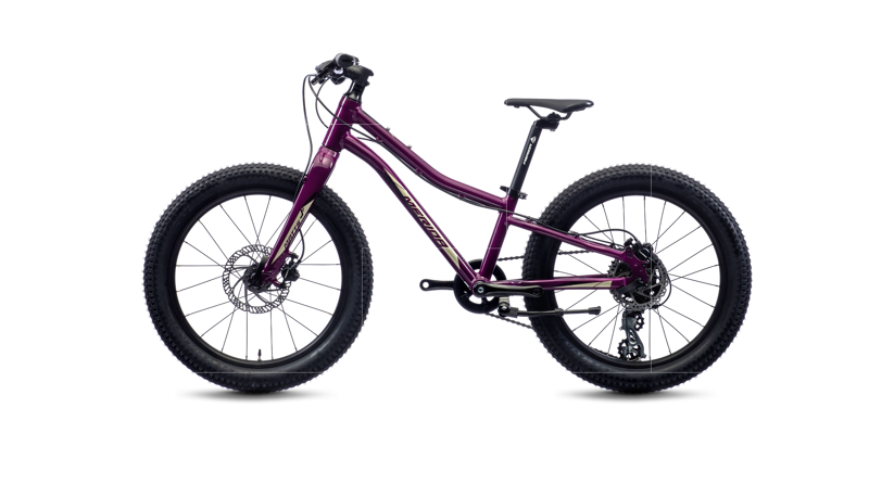 Merida - Matts J.20+ 20 inch Wheel Kids Bike in Purple-3
