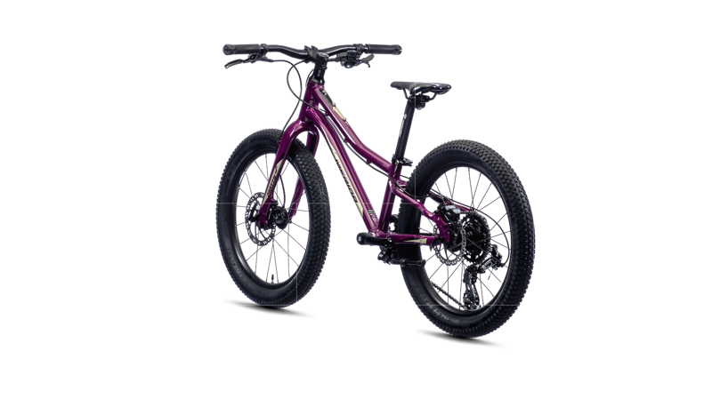 Merida - Matts J.20+ 20 inch Wheel Kids Bike in Purple-4