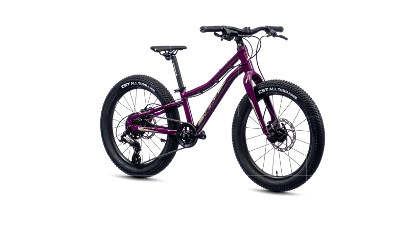 Merida - Matts J.20+ 20 inch Wheel Kids Bike in Purple-7