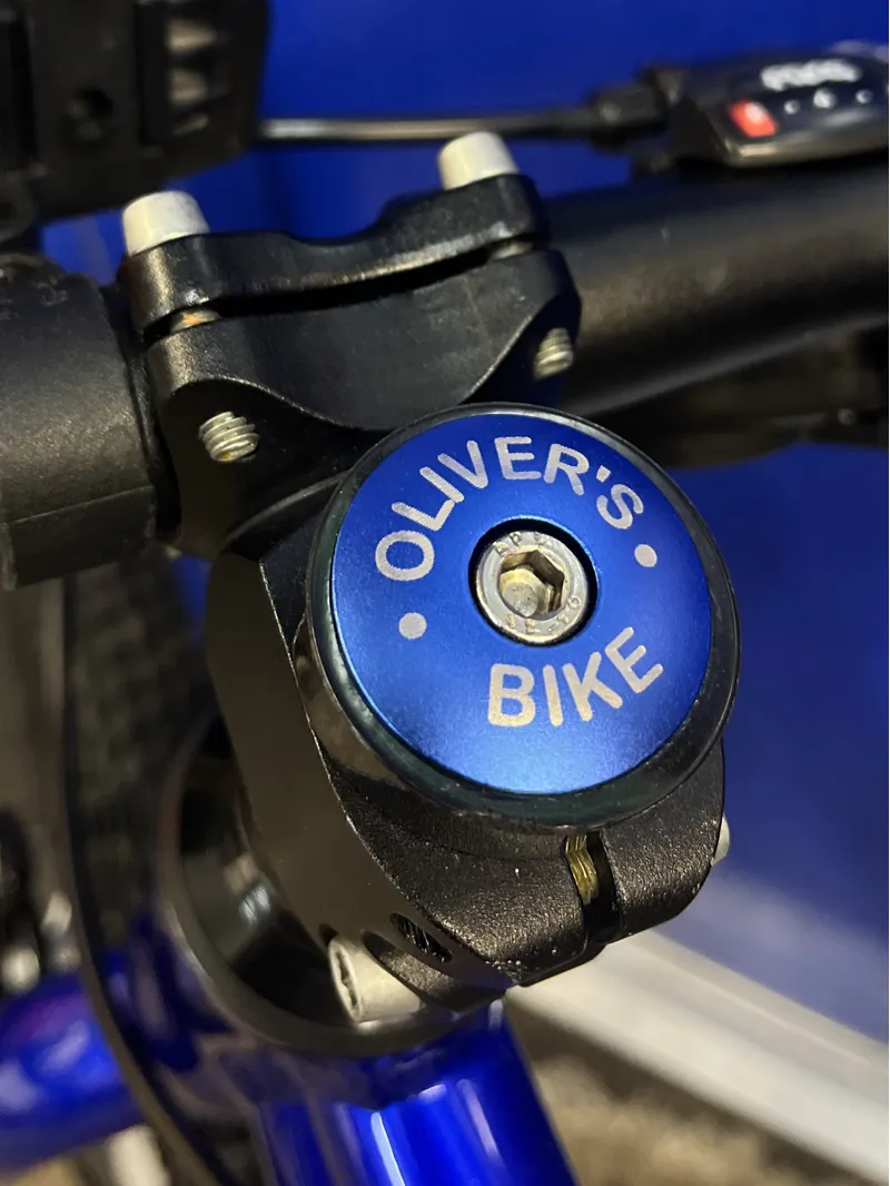 Personalised Stem Cap - If Found in Blue-1