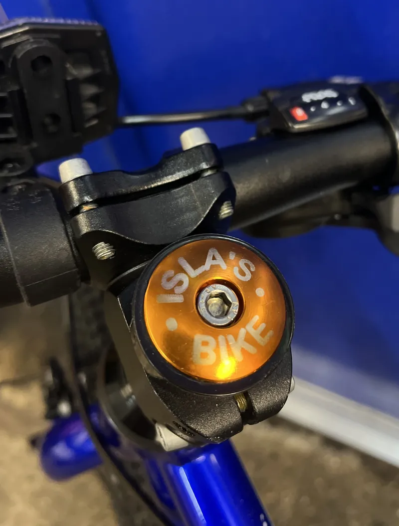 Personalised Stem Cap - If Found in Orange-1