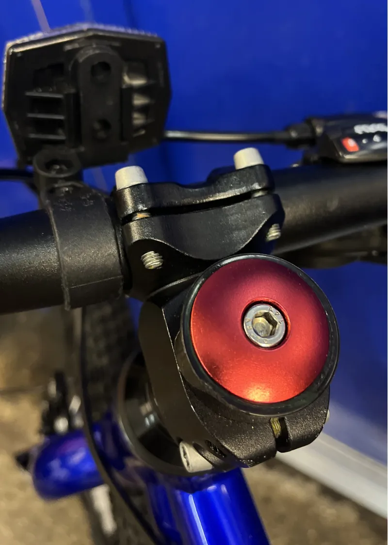 Personalised Stem Cap - If Found in Red-1