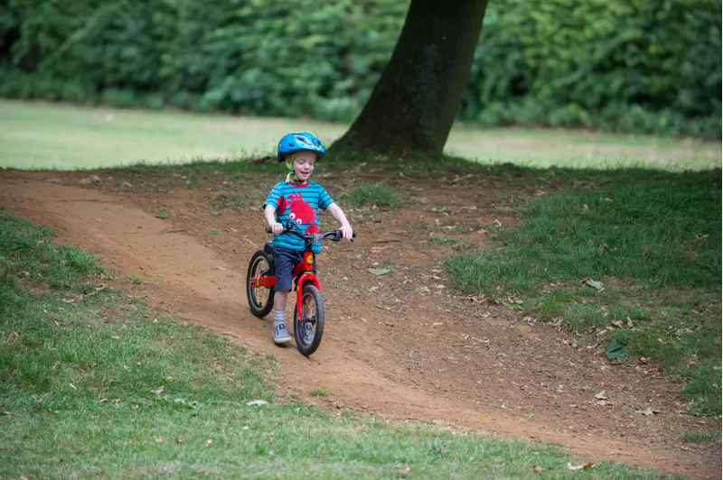 Tadpole Plus -  TDF-2