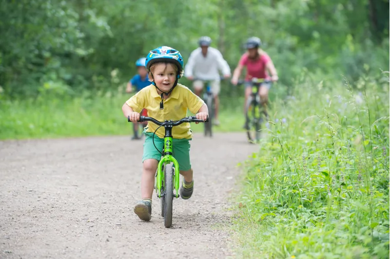 Tadpole Plus -  TDF-3